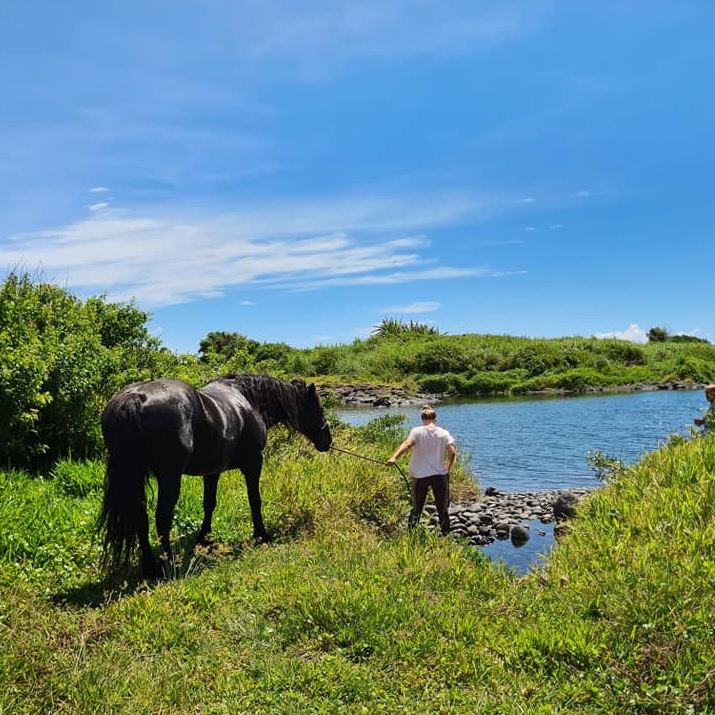 FERME EQUESTRE DU GRAND ETANG