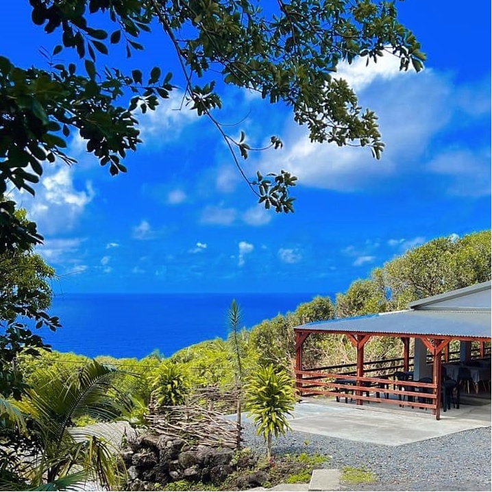 L'ATELIER PALMISTE ROUGE